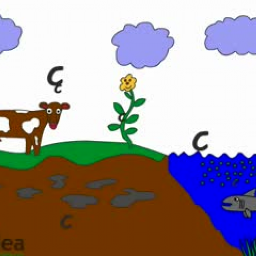 Carbon Cycle &amp; Global Warming