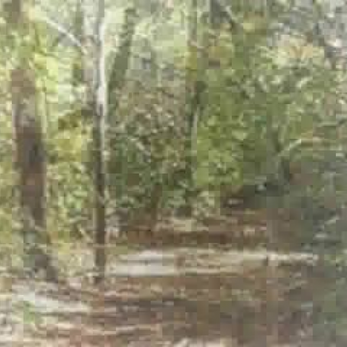 Video edited with movie maker