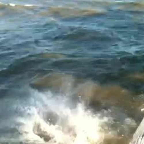 sponsor-ed test video