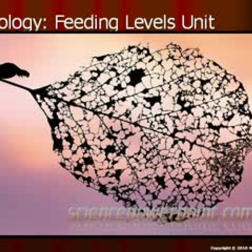 Ecology: Feeding Levels Unit Part I