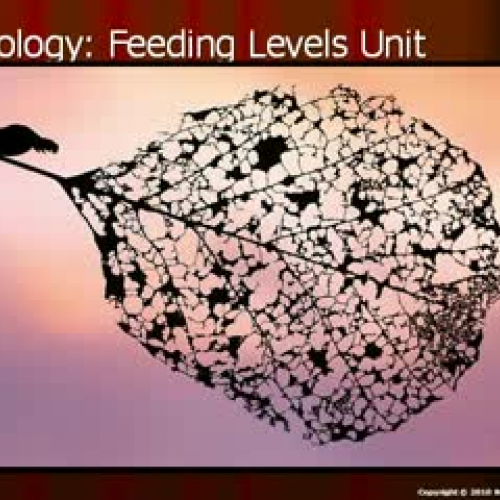 Ecology: Trophic Feeding Levels Part II