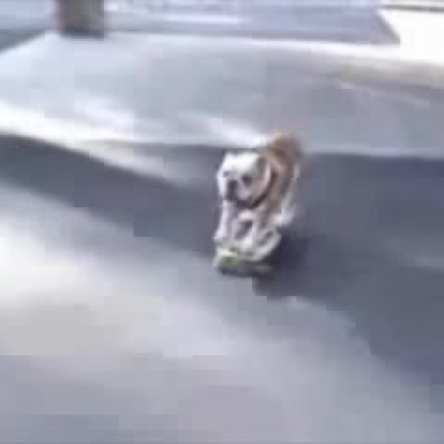 Welcome Back Fall 2010