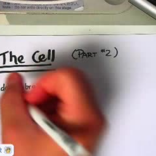 AP Biology - September 9