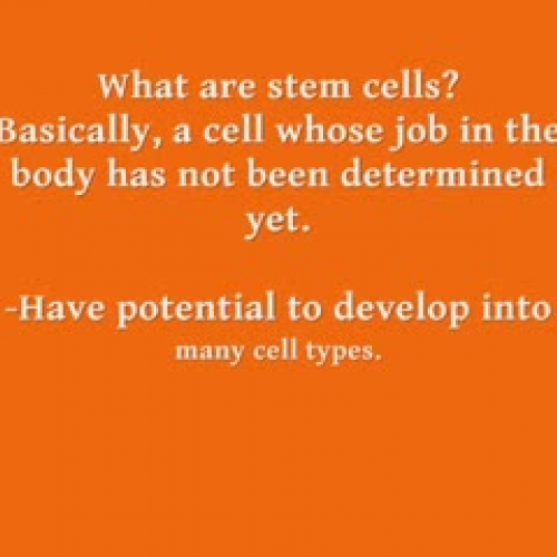 Stem Cell Research and Treatments
