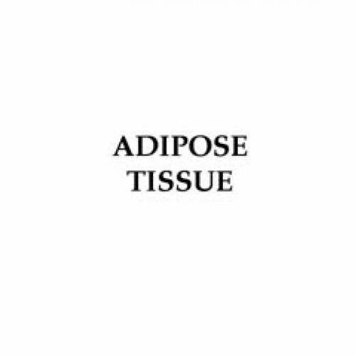Tissue Review