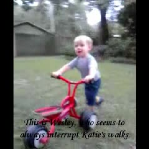 Mental Health Project