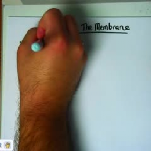 AP Biology - September 13