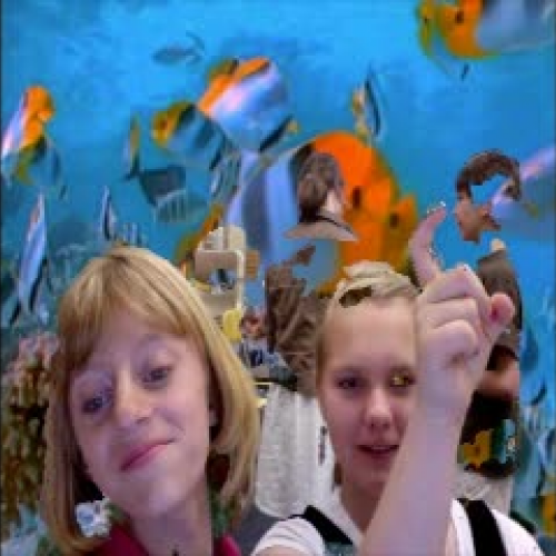 EOY(Not really the pic's for h4h)