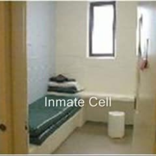 Juvenile Delinquency