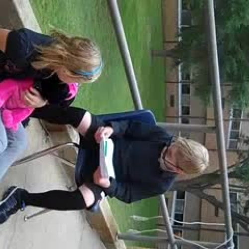 LageRichardsonFerguson