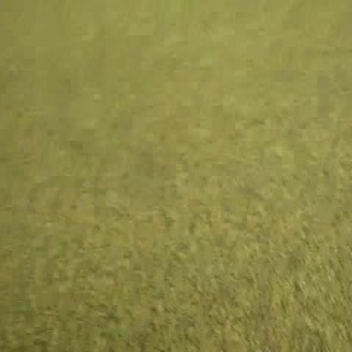 StuckenbrokerVallanuevaCowles