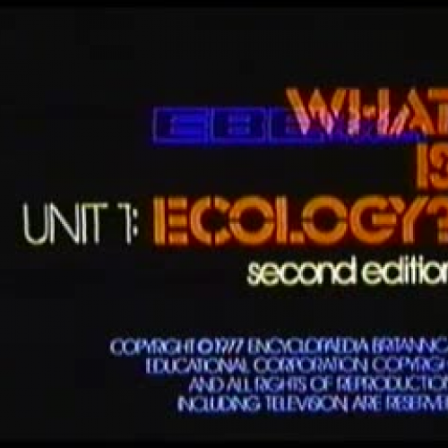 what is ecology