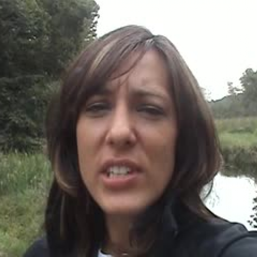 Field Site Video Report - Part 1