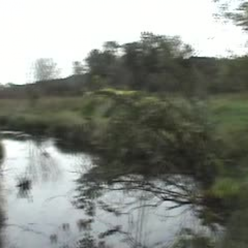 Field Site Video Report - Part 2