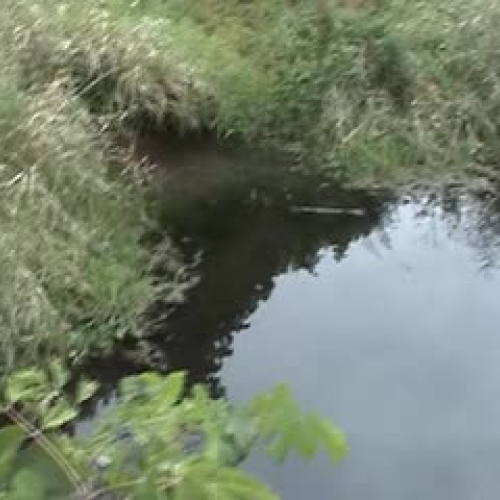 Field Site Video - Part 4