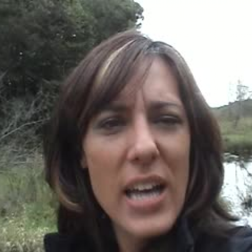 Field Site Video Report - Part 5