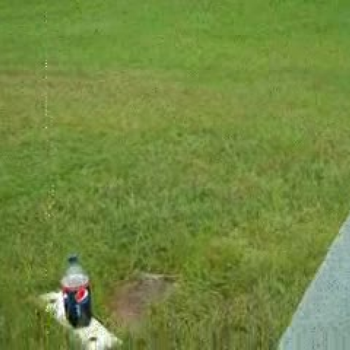 soda mentos experiment