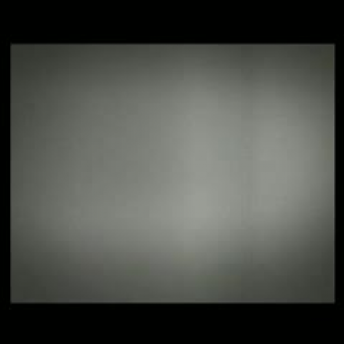 The Bellydance of the Bumblebee / Mesut U?ure