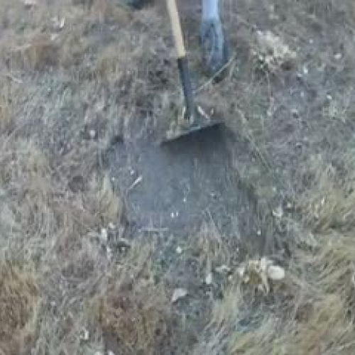 Groasis Waterbox Tree Planting Demo Peter A'H