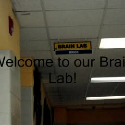 The Brain Lab
