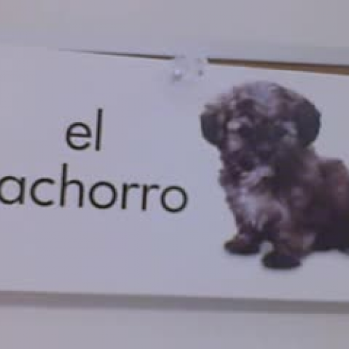 el cachorro