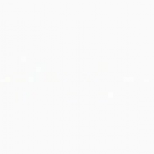 jhs video journalism