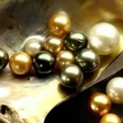 Thin Wood Walls by David Patneaude