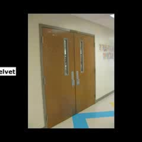 Module 5 - Digital Story