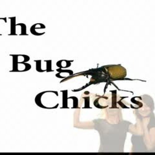 The Bug Chicks Episode 3: Fantastic Feats