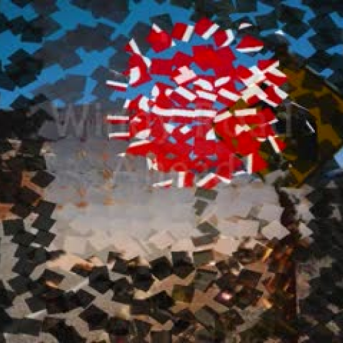 Signs, Signs, and More Signs