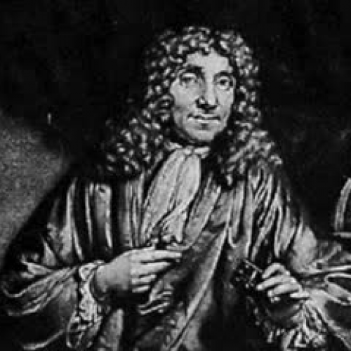 Gotta Love The Cell Theory