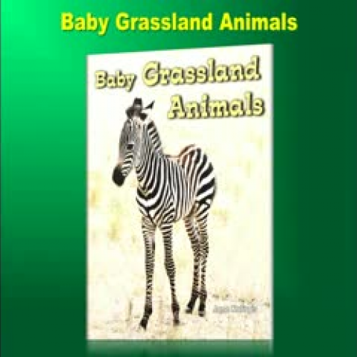 All About Baby Animals