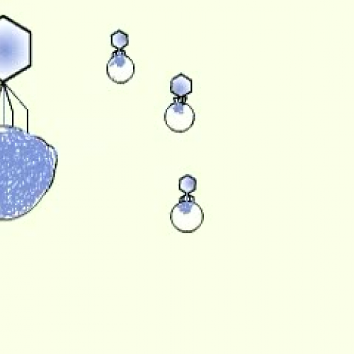 Virus Replication Invasion