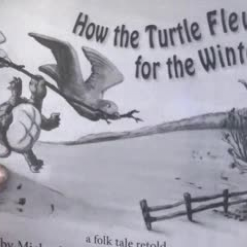 How the Turtle Flew