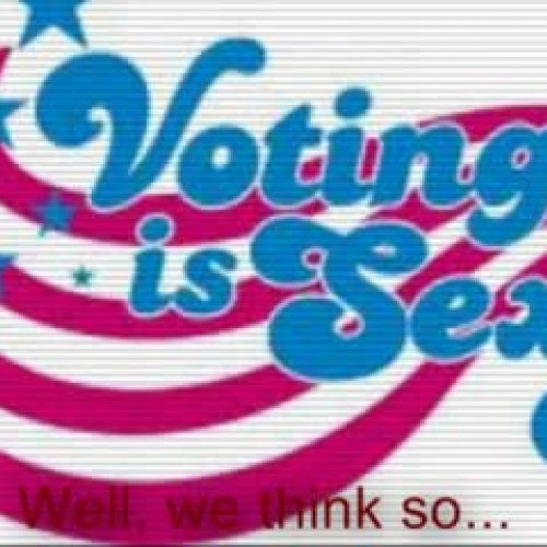 Why Vote? Gubernatorial Election 2010