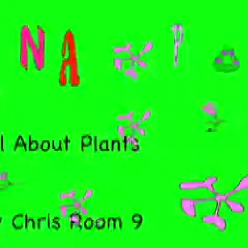 Plants by Chris