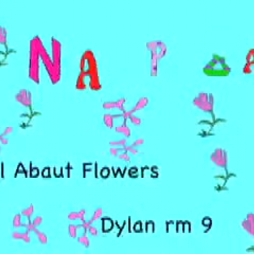 Plants by Dylan