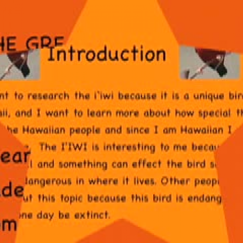 The Great Iiwi by Keahi