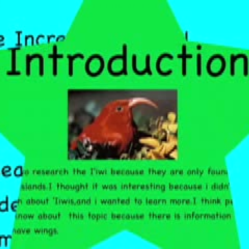 The Incredible Iiwi by Shannon