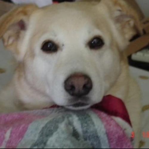 Snuggles Birthday Video 09