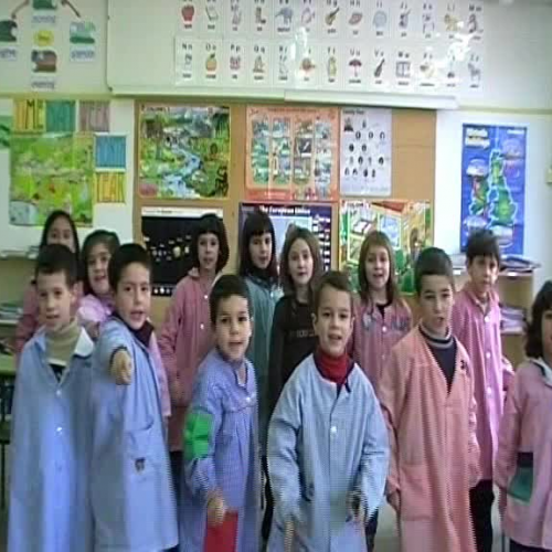 What can you see...? A