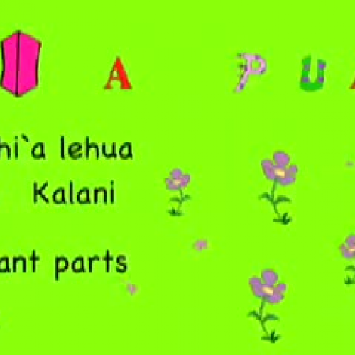 Plants by Kalani