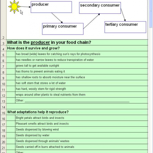 FoodChain1