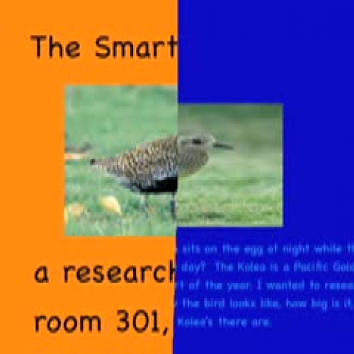 The Smart Kolea by Brianne