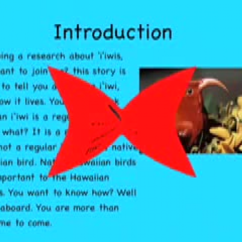 The Clever Iiwis by Caiya