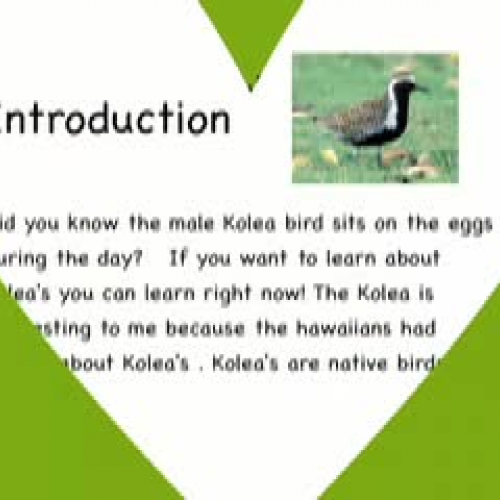 The Amazing Koela by Dakota