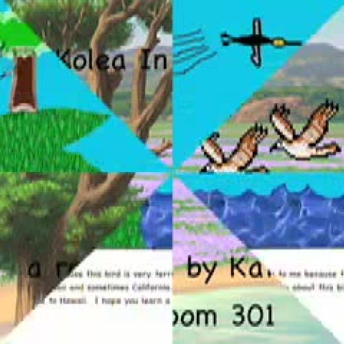 Kolea in Action by Kathleen