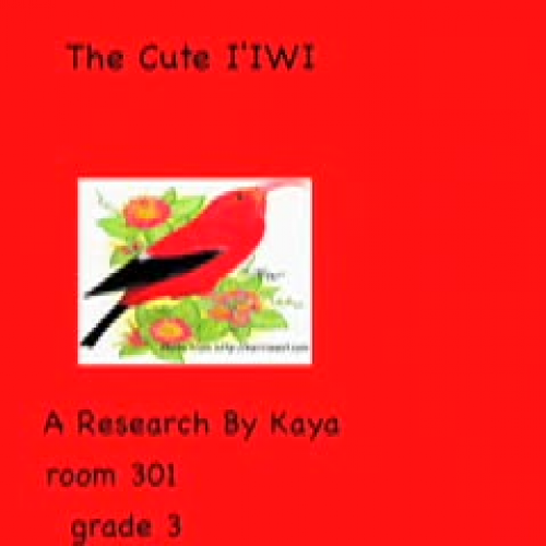 The Cute Iiwi by Kaya