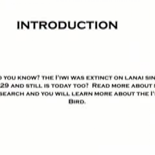 The Interesting Iiwi by Samson