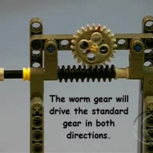 Worm Gear